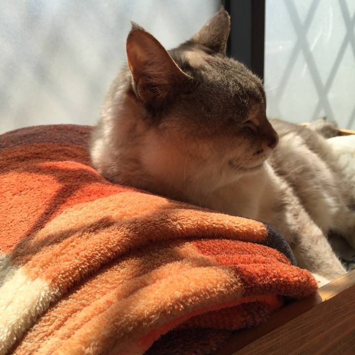 807d50ff 59b9 43c3 9da7 1a691628eeb6 1522804824938