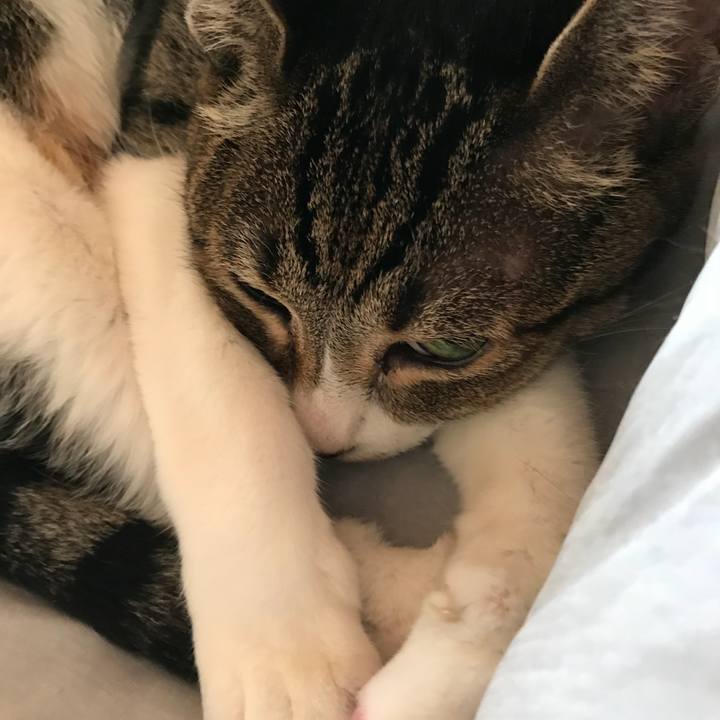 807d51f9 16f4 4634 9d85 d1d76350821d 1534895719544