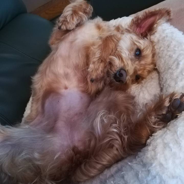 807d5221 290f 40d8 b94c 4edd91b74f15 1559689258479