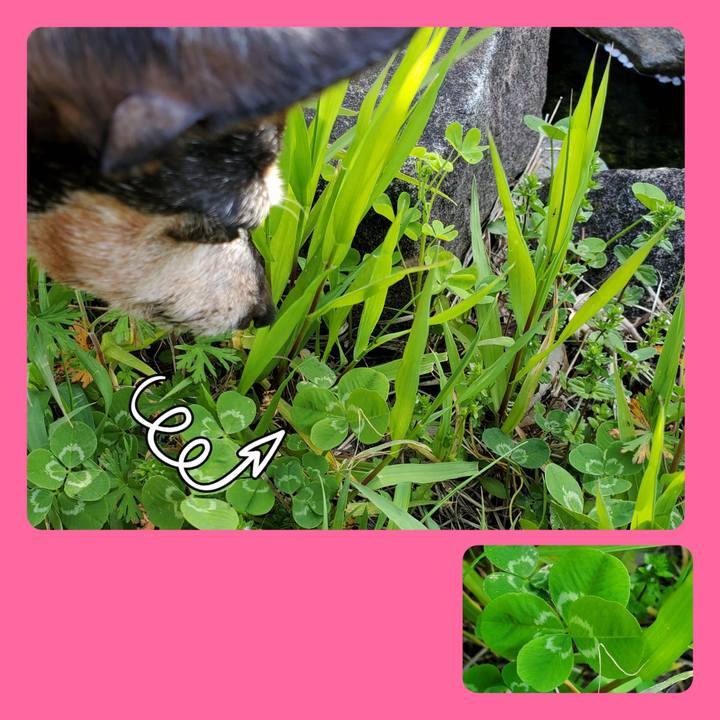 807d795b 6d5c 41ed 9bc4 ac9959a91cc9 1713491593571