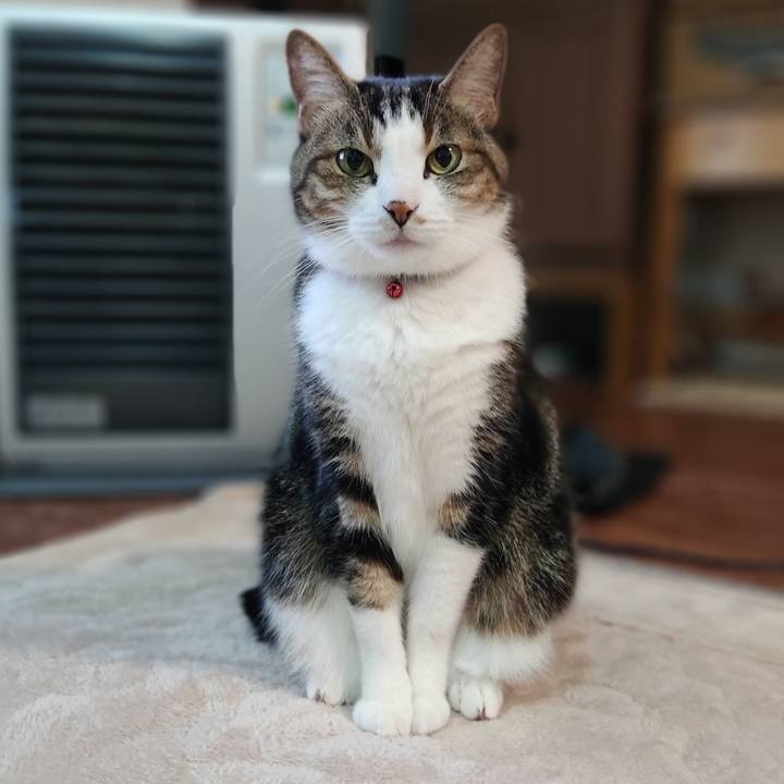 807d90df 484c 4003 8aa8 ff013904ea7c 1614774066284