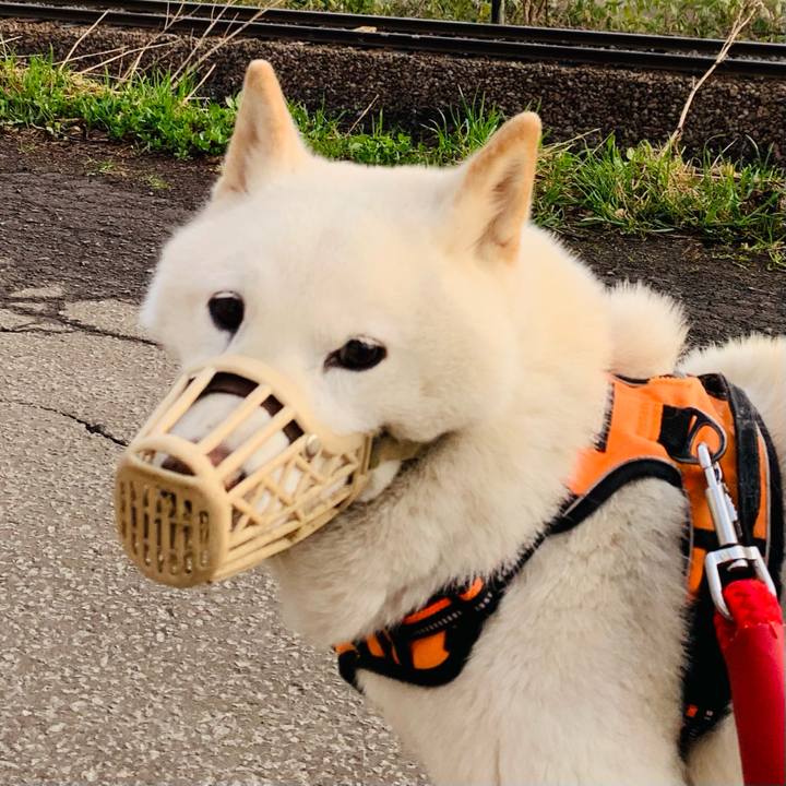 807db5d0 2262 457e be28 fa161bd6daf8 1650664394329