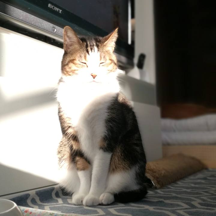 807e5878 a532 48cd 8960 5a8357a0aefd 1508279811553