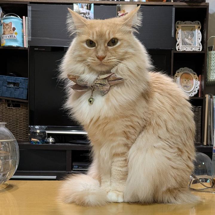 807e5914 1aa9 498d 8ad1 4ae36b2f9fd6 1739159400058