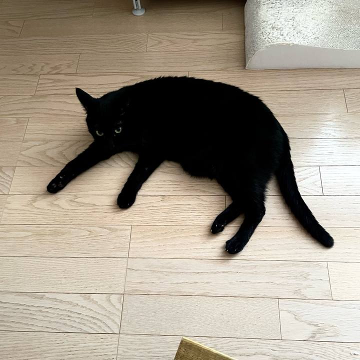 807e5fa3 8b5a 4611 adac d218b6d1c81a 1742696473028