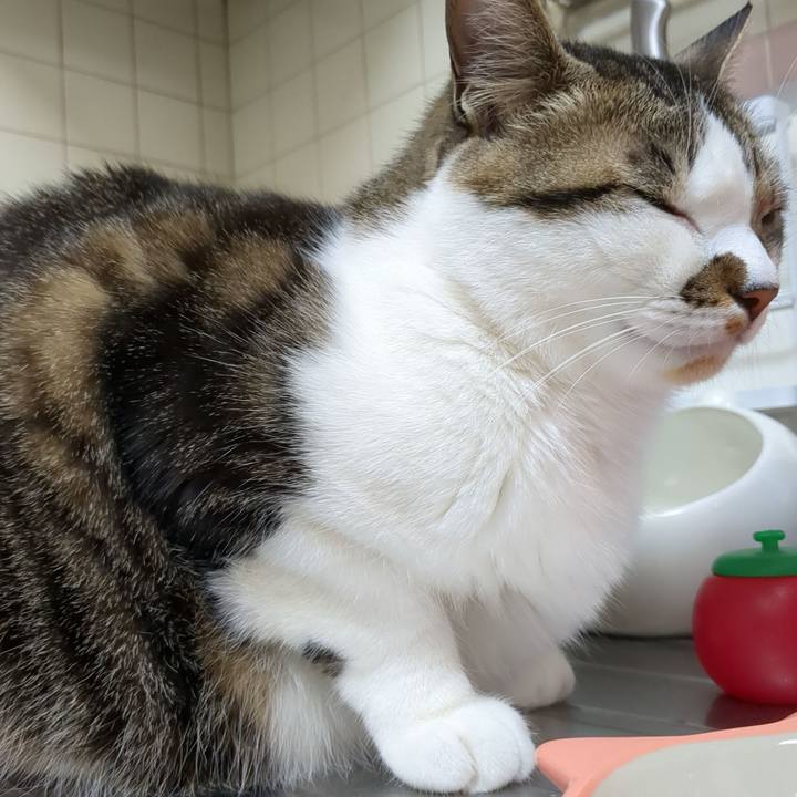 807eb3d4 bfcf 4d66 8455 2d1b44c8ecc3 1681389114097