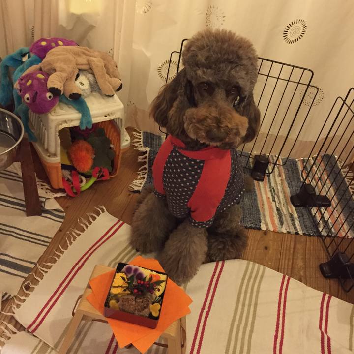 807f1e31 cd3d 4938 87c7 444271b502c6 1514802138500