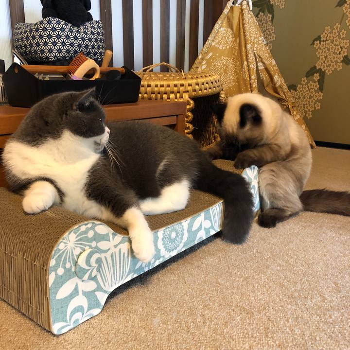 807f2769 5e0a 40a7 81ac e8f70b21e89f 1600944955218