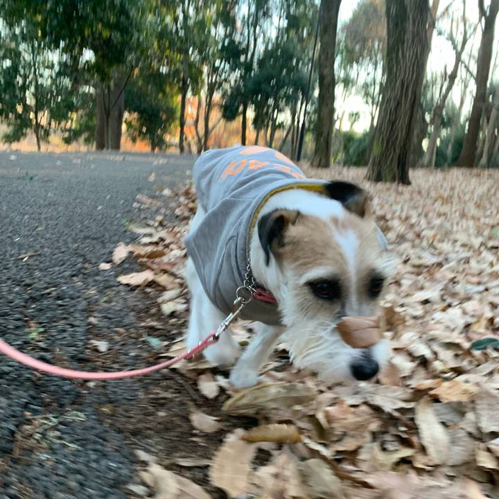 807f379f dd2f 491a 8560 7a4a31cd6508 1671967657094