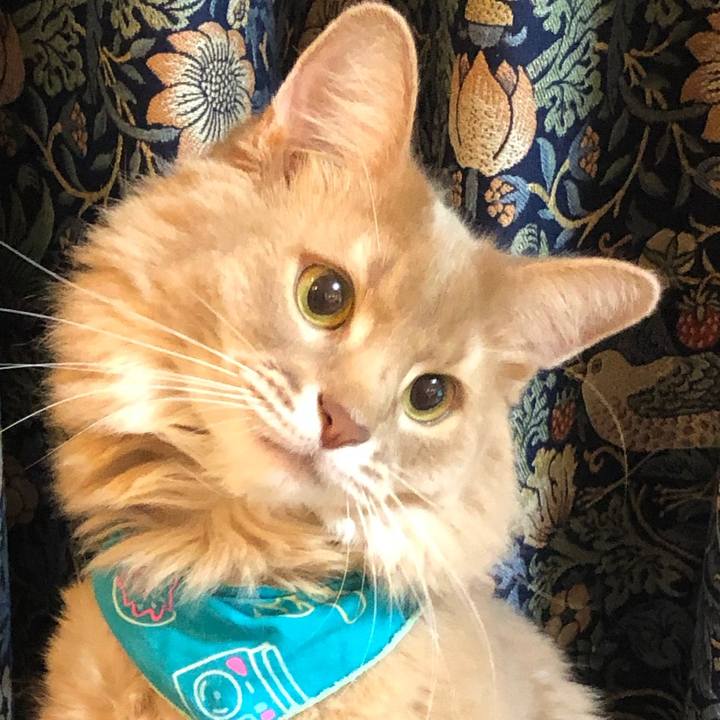 807f6f3b 2f3b 408d a5be a600a0c761ad 1630721121544