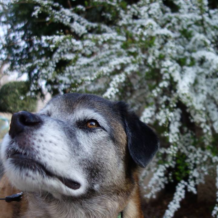 807f7c65 919c 4f81 9510 268395c189ee 1552696221464