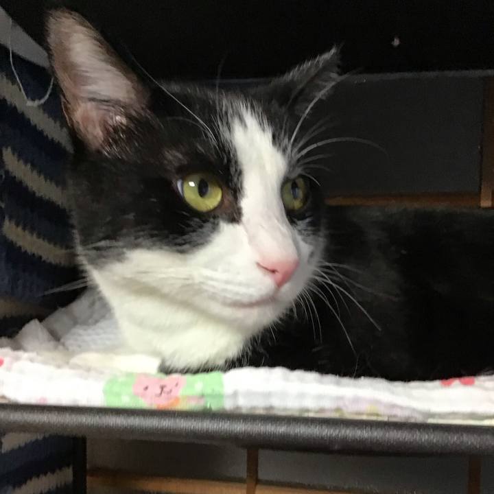 807fa28c 9ba9 4db9 97a1 70018206c625 1757922299184