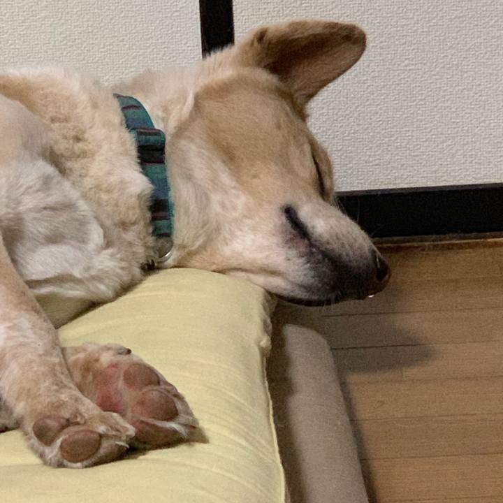 807fa4d2 4647 4ddf b8ff 45d92c480ce8 1560526991898