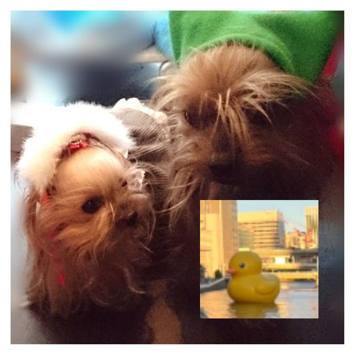 8080010a eb1f 4f57 9e53 d5ef7c7b31f8 1702544684153