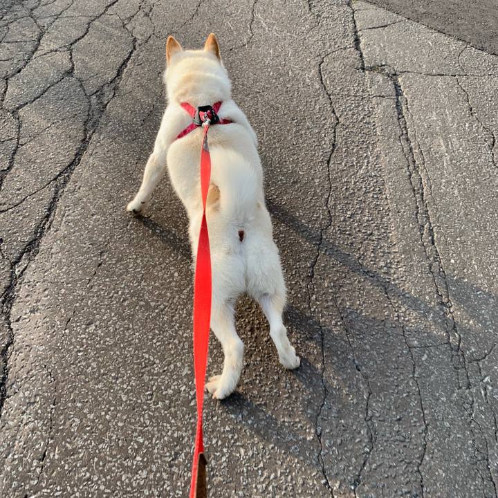 80800795 f7db 4711 8529 5aa00edec8ad 1563224042692