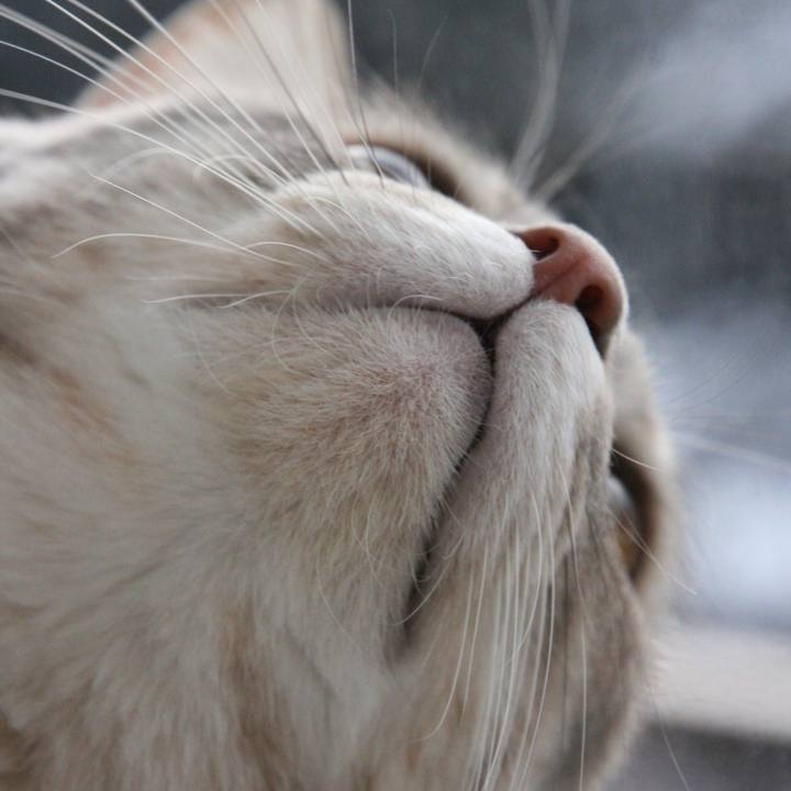 80800ec4 2654 4dbd 9480 37fd7d6221f1 1517745806223