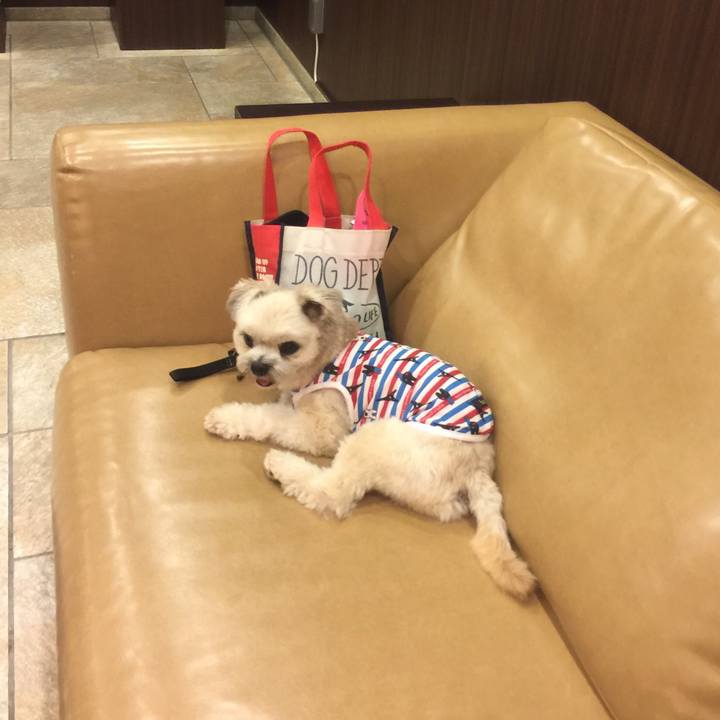 80801fd5 8540 4ab2 b328 474f8d6f478e 1533125424055