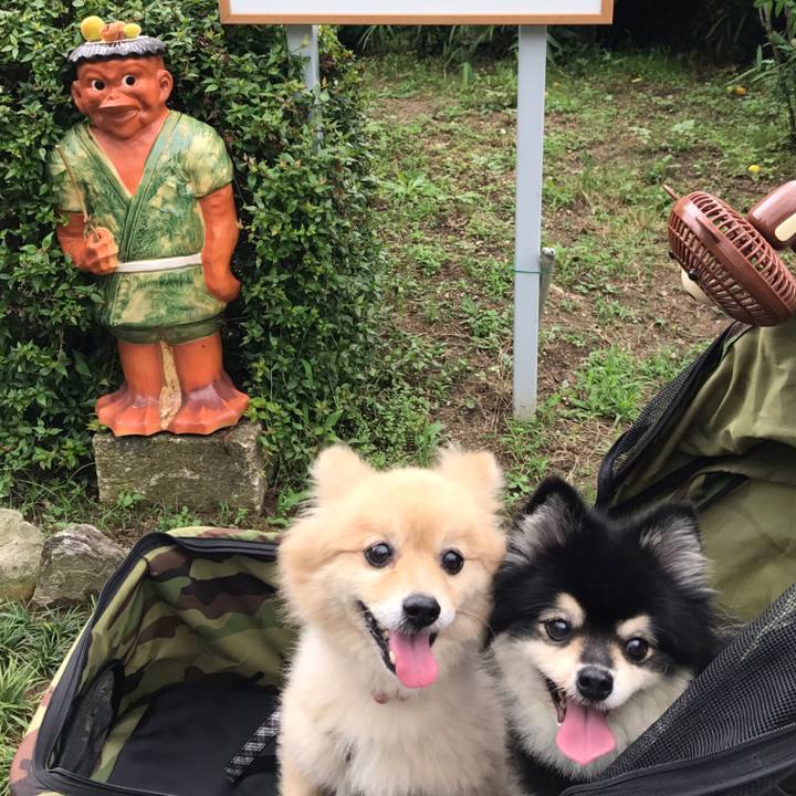 808061bc 52fa 4afb 96bd 7209d156fd3d 1592317863400