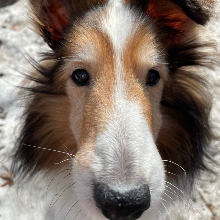 80806ca1 0b49 4027 9171 6cc0f911b44c 1617171475379