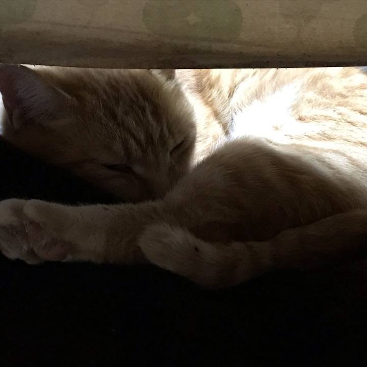 80807f2d 64c5 4d6c 945d 62c02286893a 1605445397568