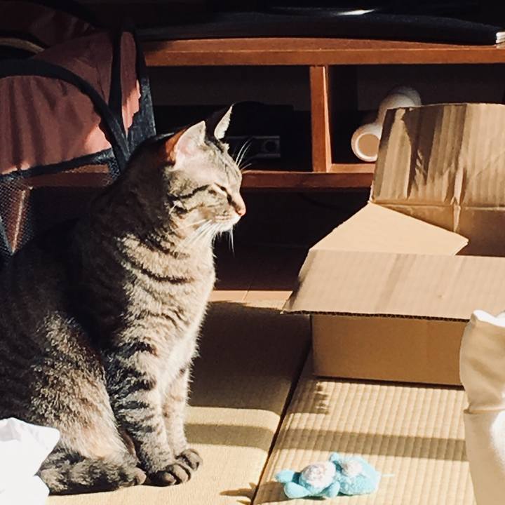 808090ee 8760 48b6 a7dc 8257a5550e43 1529660798356