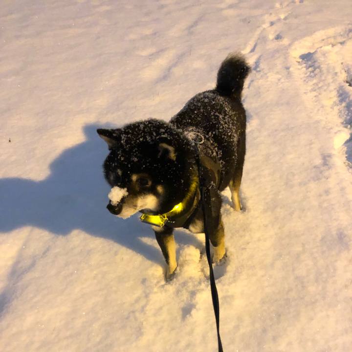 80809f02 f18a 4b9b 97a7 0174fd632c0d 1576803298895