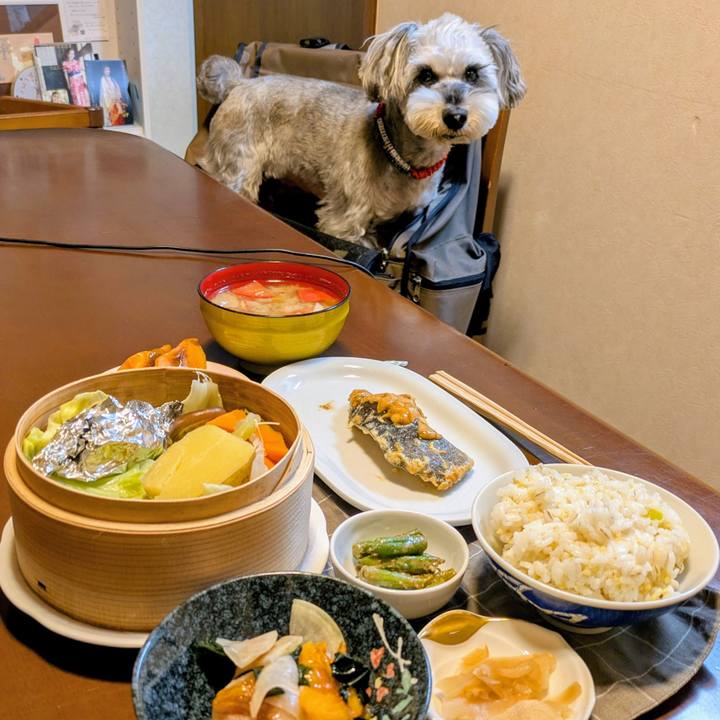 8080b9bd 344f 494c 8e75 0db740dbfbba 1763383341123