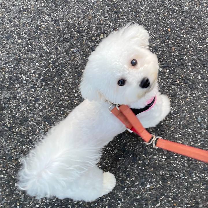 8080c02b 739b 4978 a51c e036c3b4947b 1759195877590