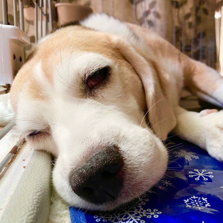 80815b6a 24c0 4bb8 b05c 3e14ab0c1c6b 1596685209659