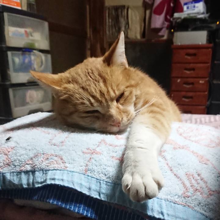 808176ff d11f 4f0c a059 cf87ec4ab8dc 1605560100451