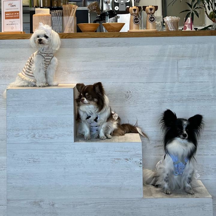 808197bf 2378 4711 8e84 1d4a35d733dd 1685534240140