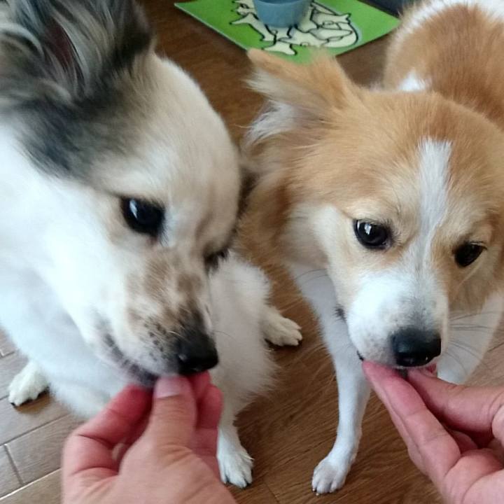 8081ad6c de14 4054 aacb ad780171546c 1597490411268