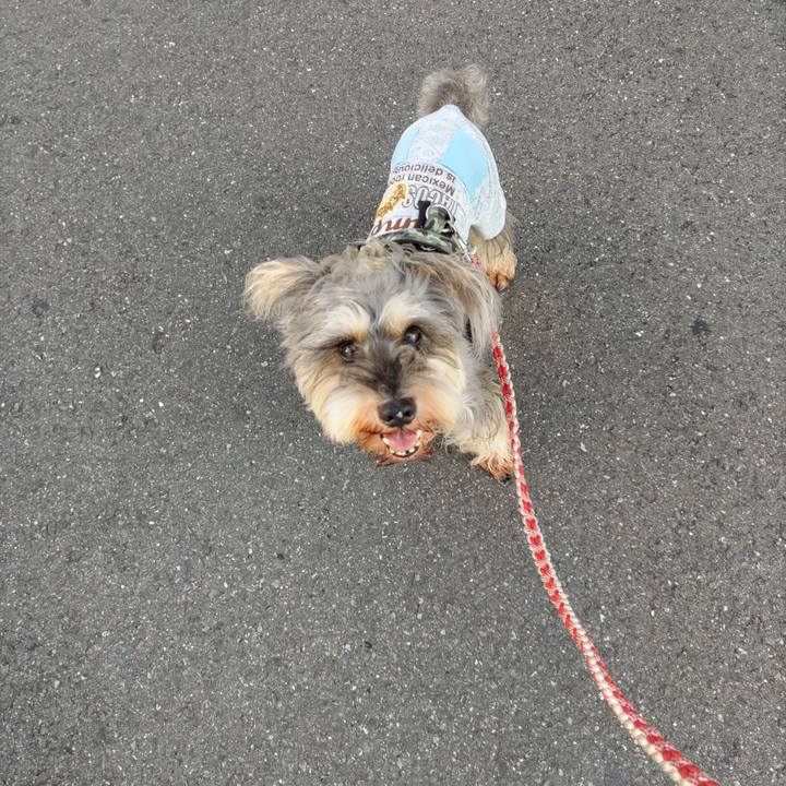 8081d575 4b06 452f 8c7a 4fc8827bfad1 1694535063550