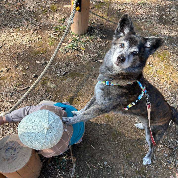 8081ec85 015a 41df bb55 74b446c4c100 1764284632691