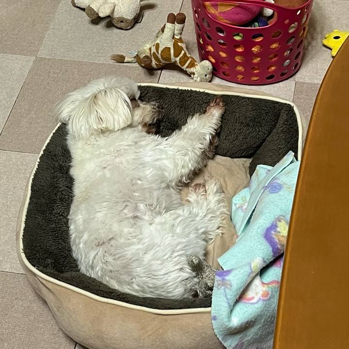 8081f673 c8fc 4cb6 b569 c883e0437f3b 1684237487900