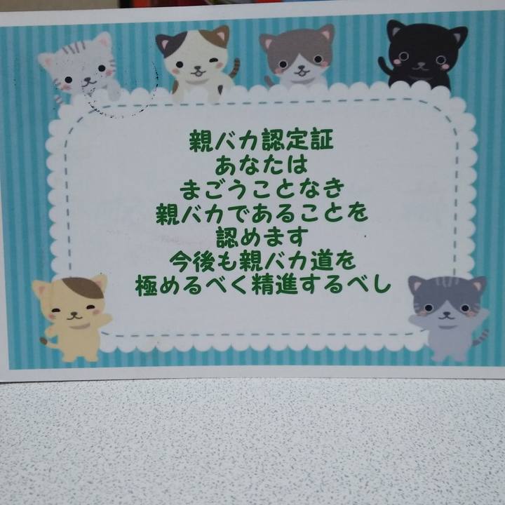 80822e44 fa93 43ef a274 59e25bea4b6f 1548064171304