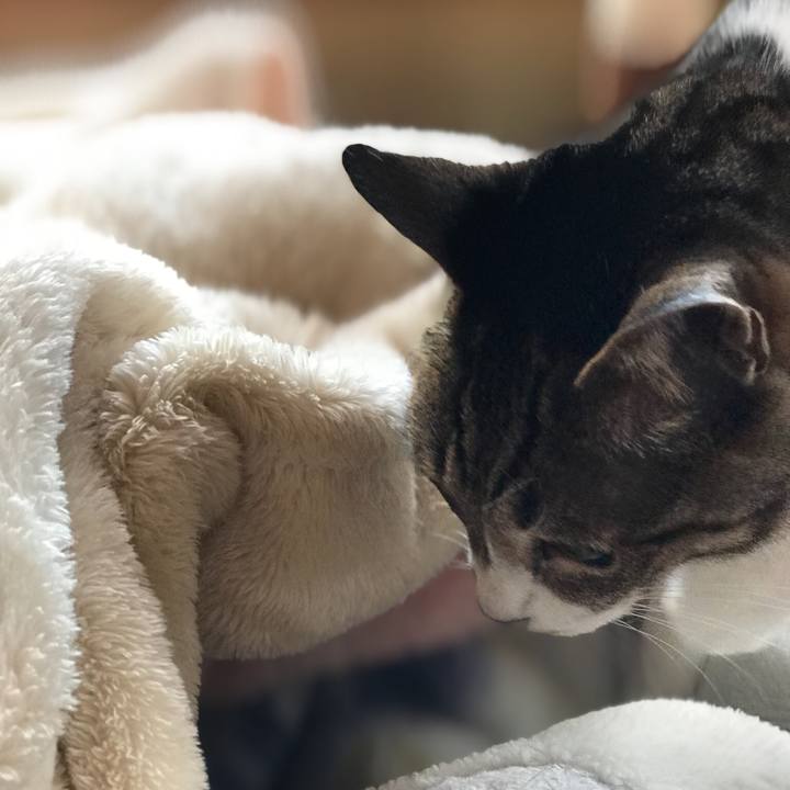 80823bb6 f15c 4b3a 92d0 7f570b19ddfb 1518484337251