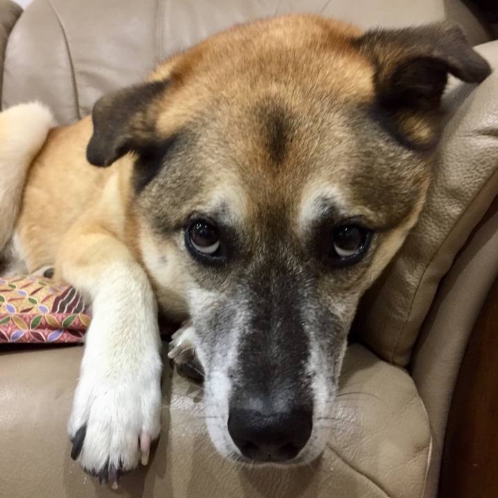 80824874 5a0c 47bf 8d06 4c7aa368d185 1536920839636