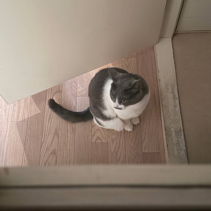 80825ffb adc3 4337 9f15 7afe4b6d090d 1763447444659