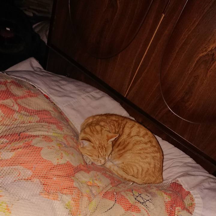 808272f4 0714 4603 8565 84d448339c11 1586013665794