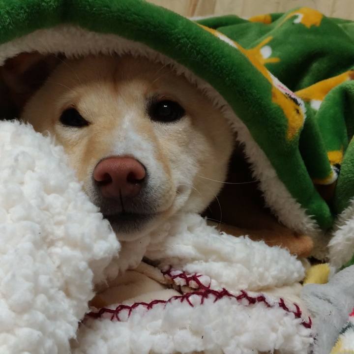 80828289 9d8a 4b1c 9183 9b7f9f6ac324 1520772260459