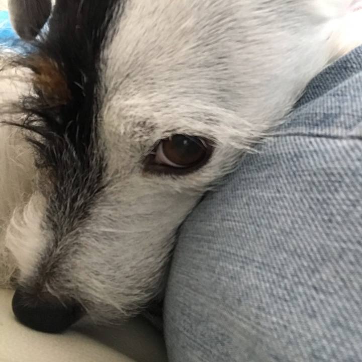 8082c209 61ee 4f48 97b8 6130c236b745 1541731378153