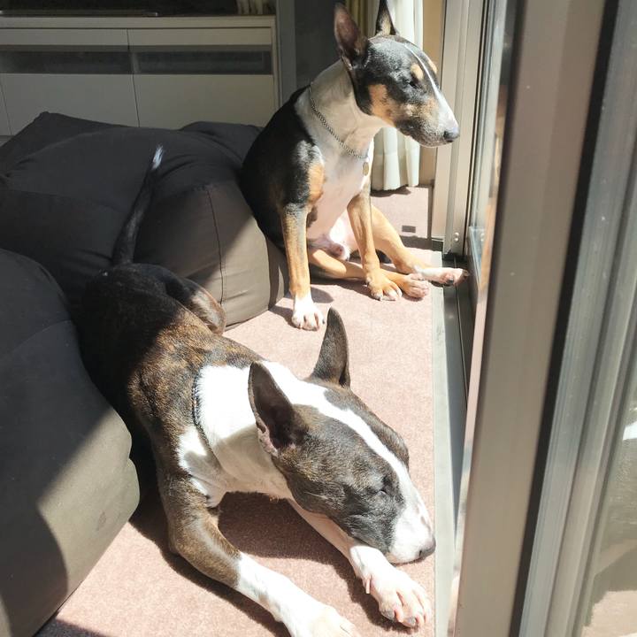 80831059 c592 4bd2 acd3 08263f8976a9 1522380872960