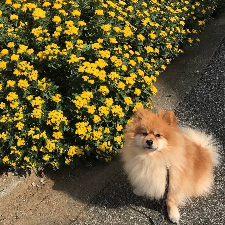 80833e31 70fe 4054 8534 7ea43f12a5dc 1509588955267