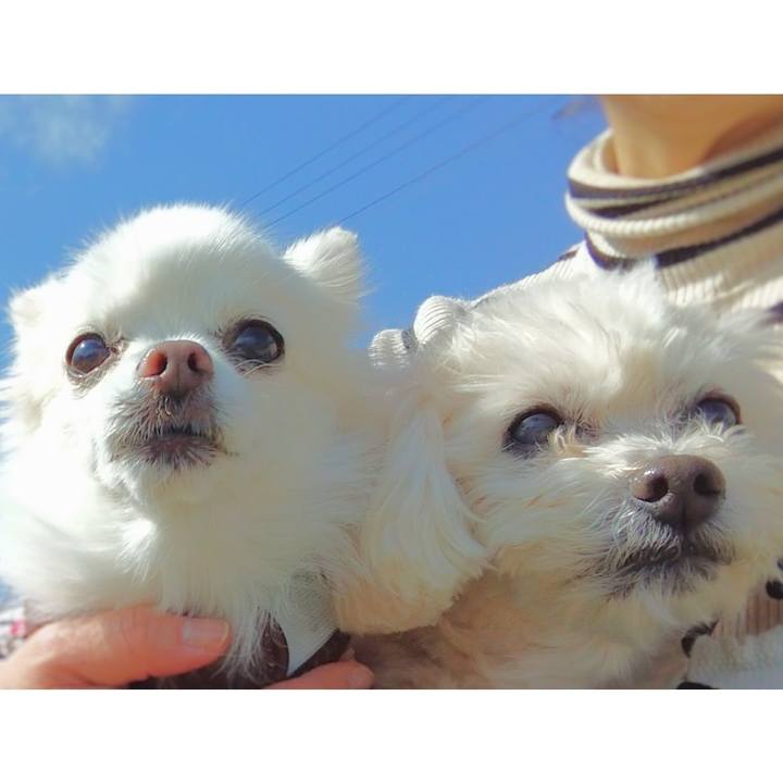 80834b8c 28f9 4f44 9b6a e01d7e6e400e 1677148909981