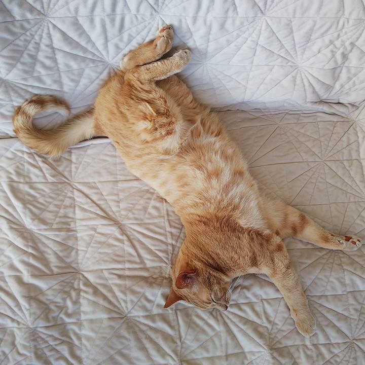 808377fb 8062 4542 b14b 8fbd6cb51b3a 1662868879043