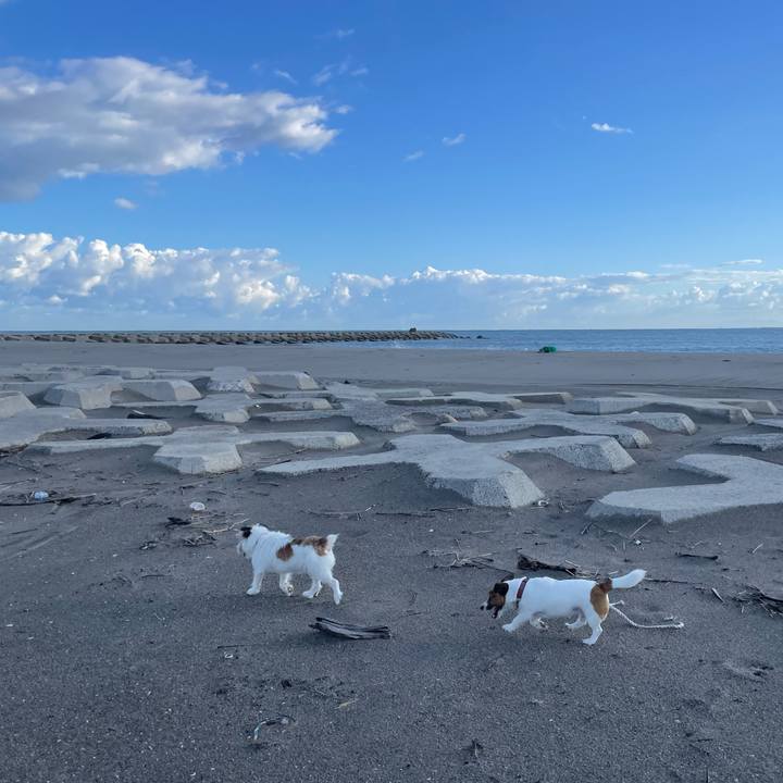 8083aa6f e6fe 45c5 9df2 8e0b4b1e4d5a 1758500294478