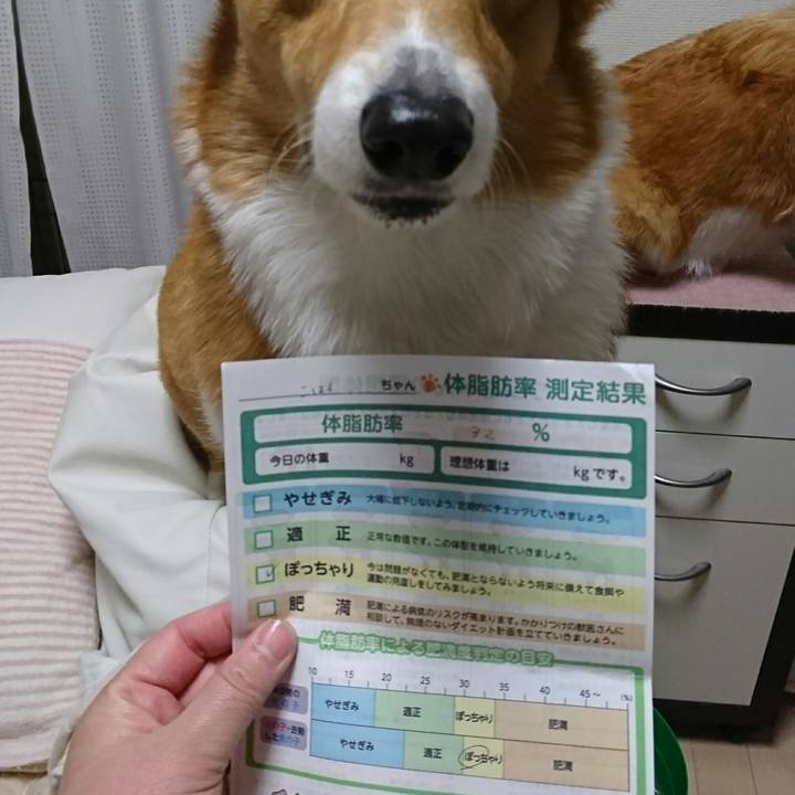 8083b7f9 a17d 4bdb a758 f369bb1b4f4a 1553912647881