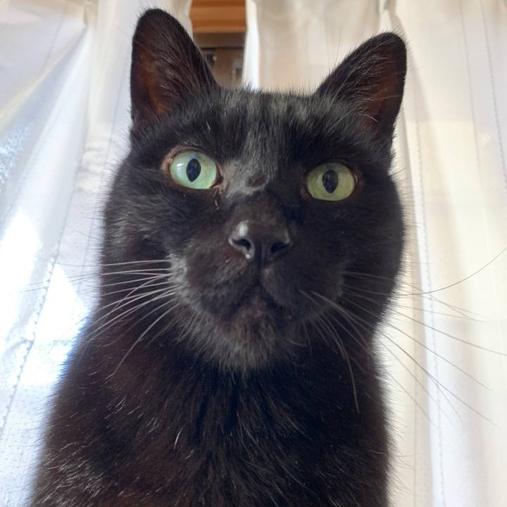 8083bc74 6c47 4711 a810 806f2d8d688d 1580519928017