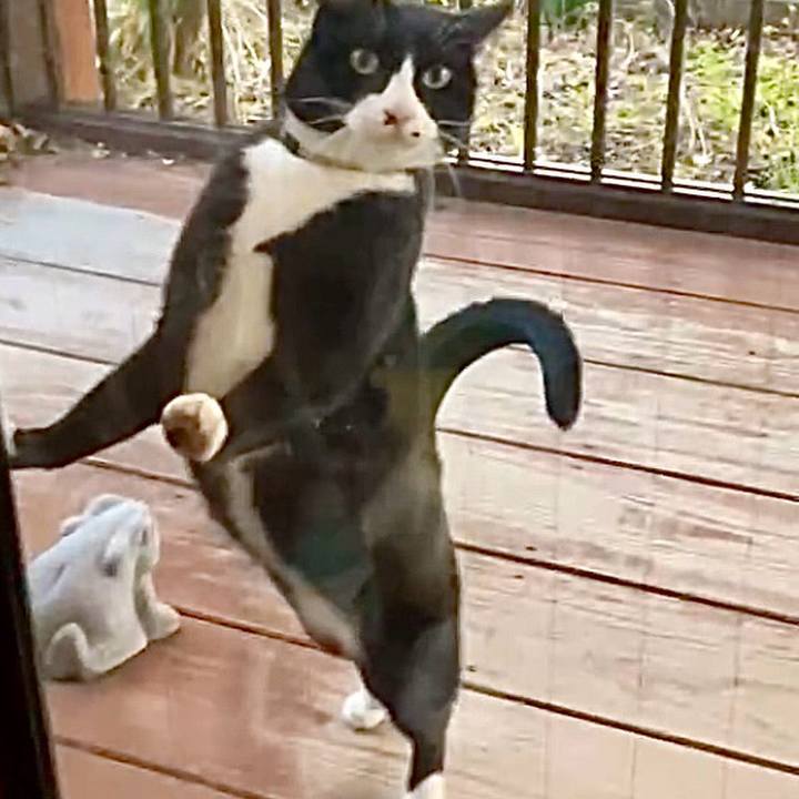 8083e2be 5621 43b5 80d8 5b96adc61d49 1735639636805